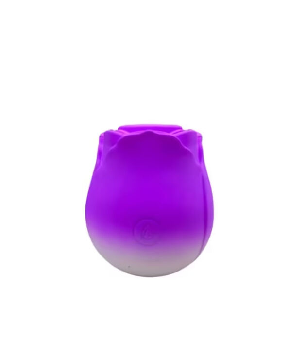 Rosa Estimuladora Clitoriano Sucção 10 Modos USB Recarregável Roxo